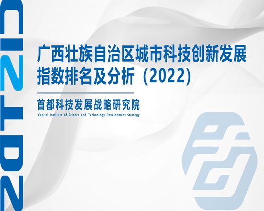 美女被日【成果发布】广西壮族自治区城市科技创新发展指数排名及分析（2022）